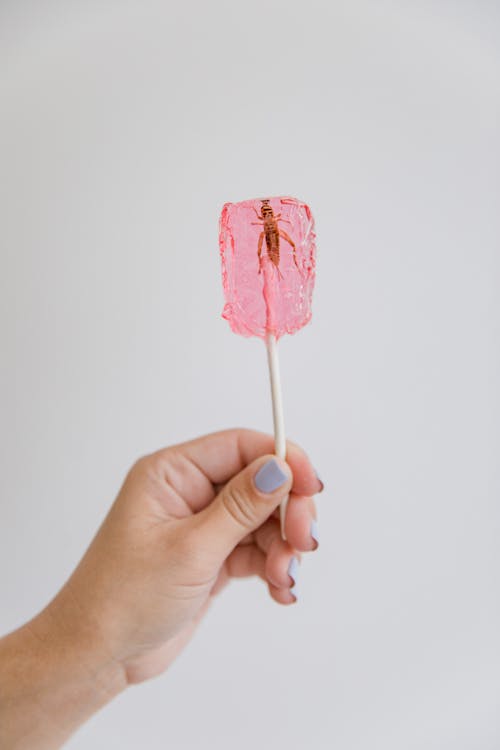 Gratis stockfoto met hand, insect, lolly