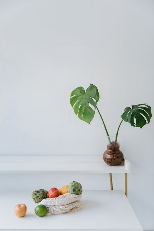 Free Fruit and a Potted Plant Stock Photo