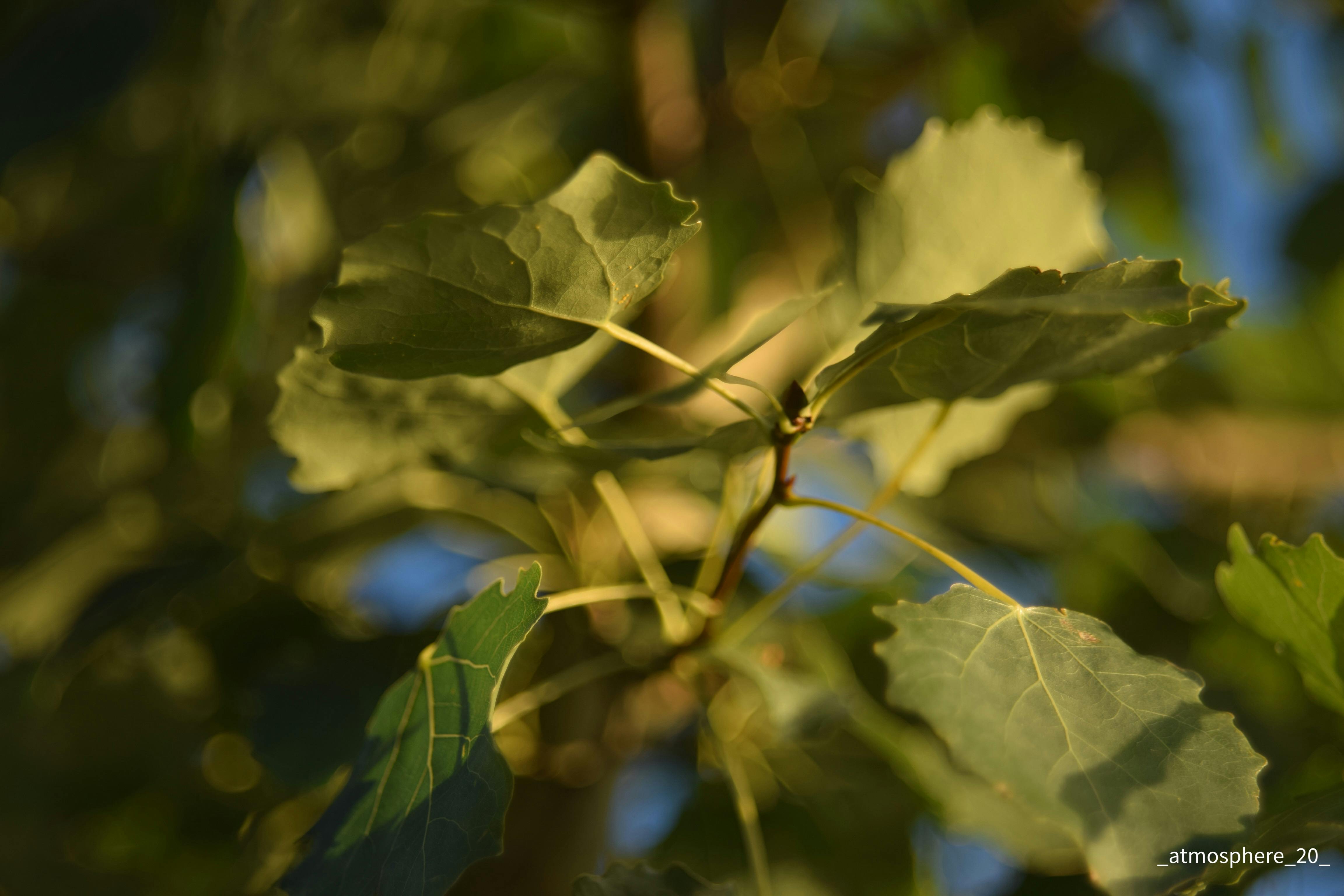 Commuters wearing masks in a subway station