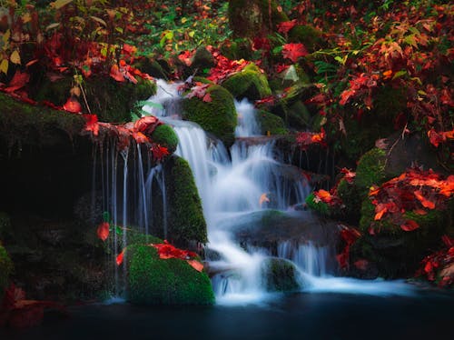 Close Up Shot of Waterfalls