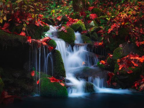 Free Tranquil waterfall cascading over mossy rocks surrounded by colorful autumn leaves in Washington state forest. Stock Photo