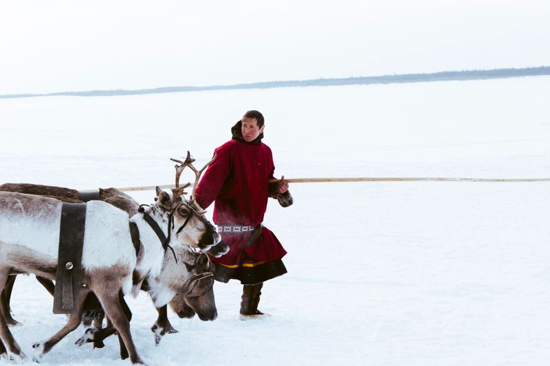 Tsaatan Reindeer Herders