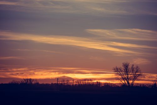Free A serene view of bare trees silhouetted against a dramatic sunset sky. Stock Photo