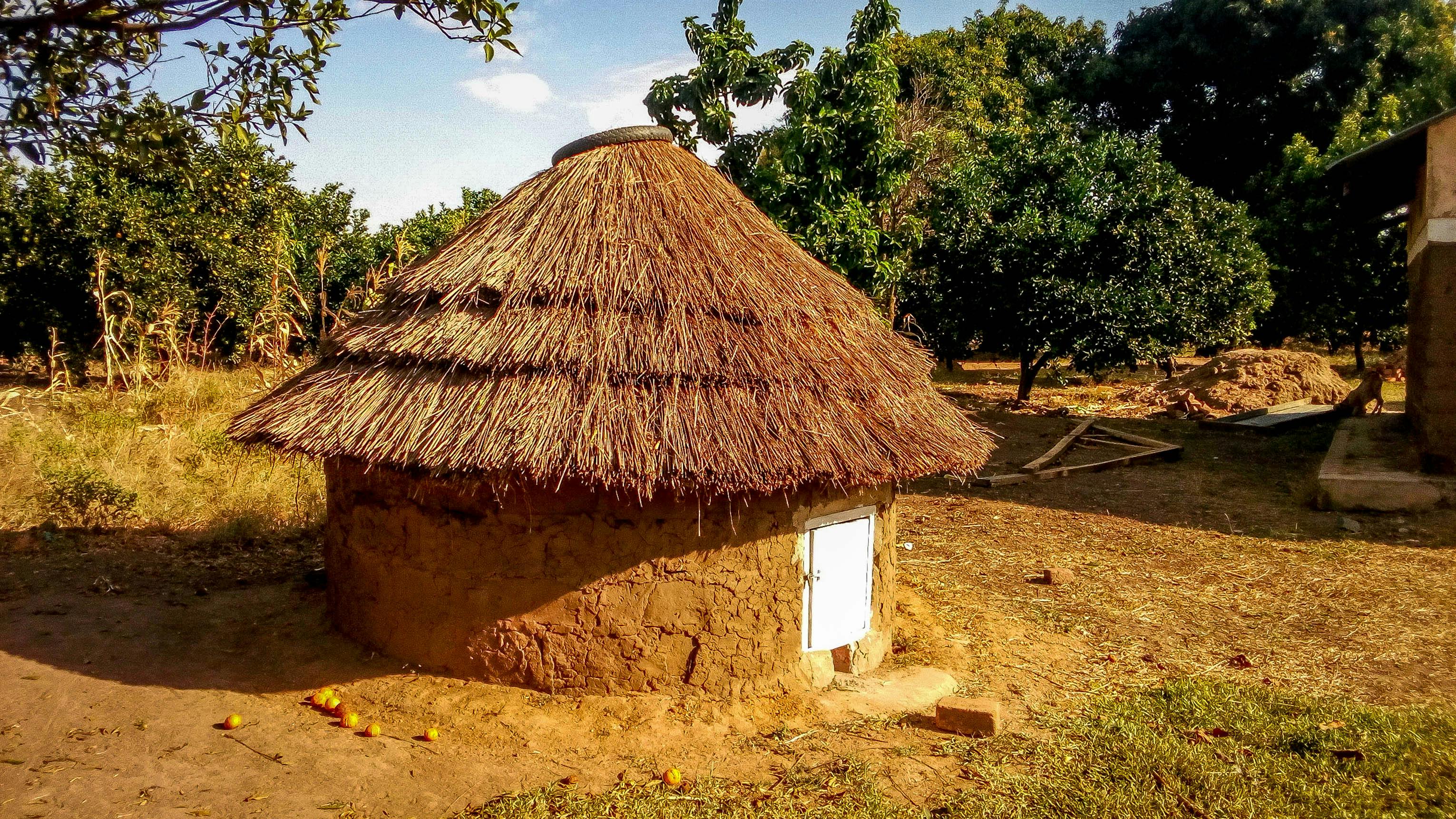 Free stock photo of african, African house hut, huts