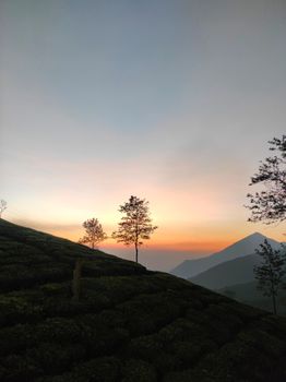 Experience the tranquility of a mountainside sunset with silhouetted trees and a breathtaking horizon.