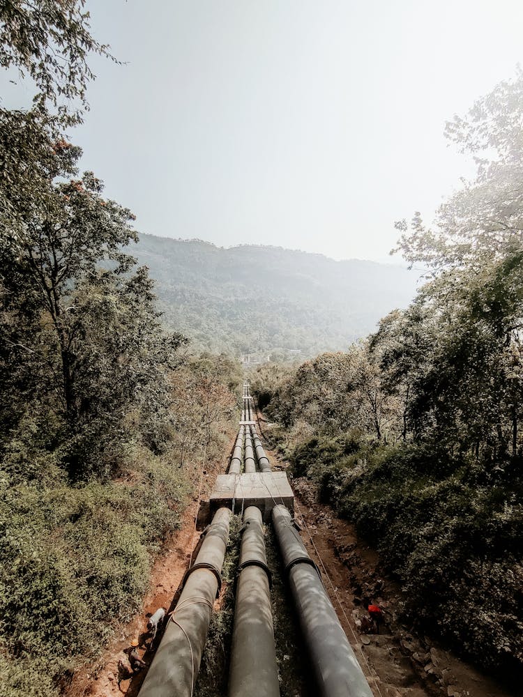 Pipeline Among Trees In Mountains