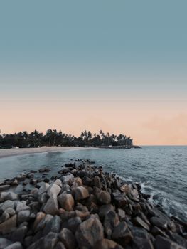 Beautiful ocean view with palm trees and rocky shore during sunset. Tranquil and scenic landscape
