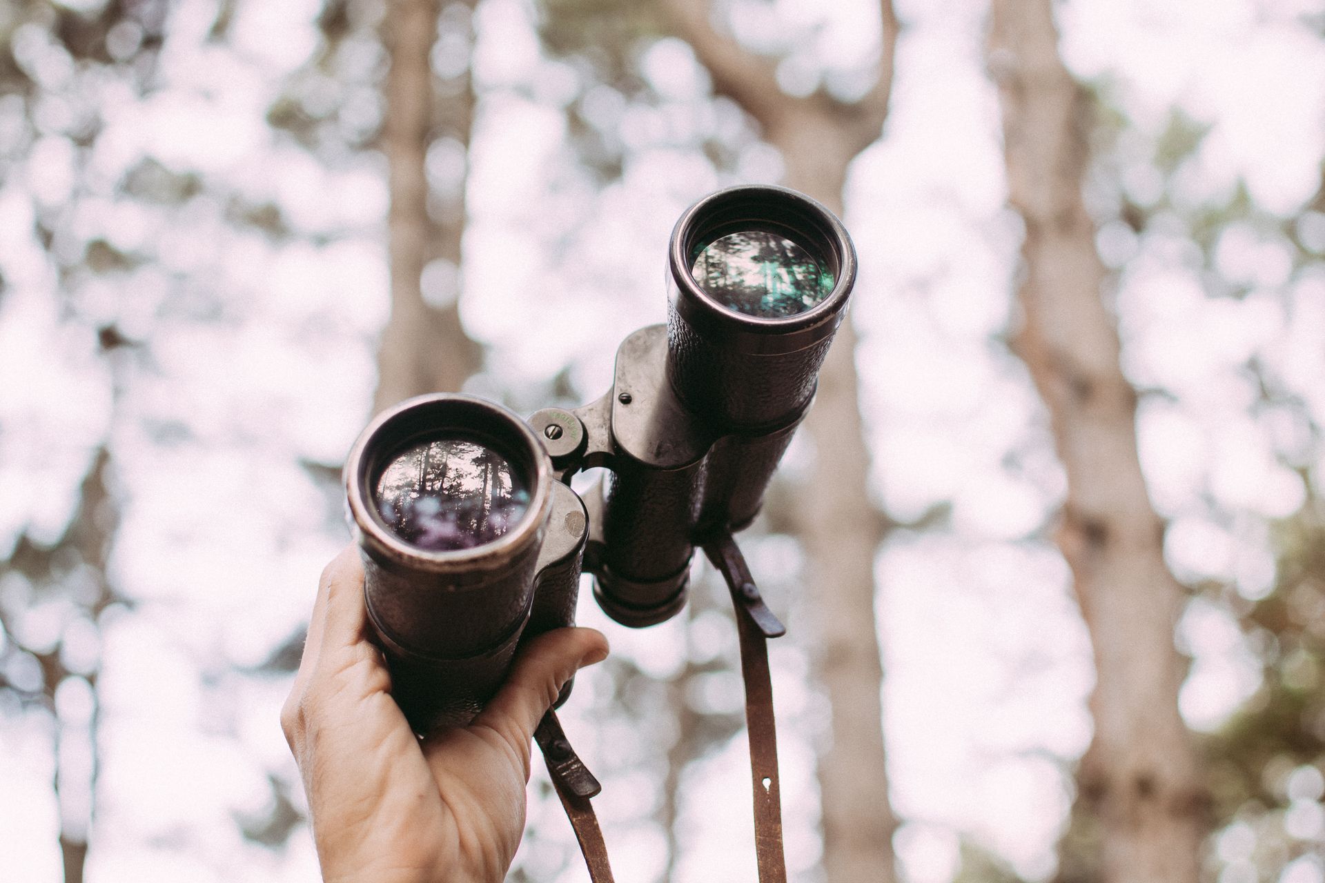 Close-up of a hand holding binoculars in a forest, captured outdoors with blurred trees.