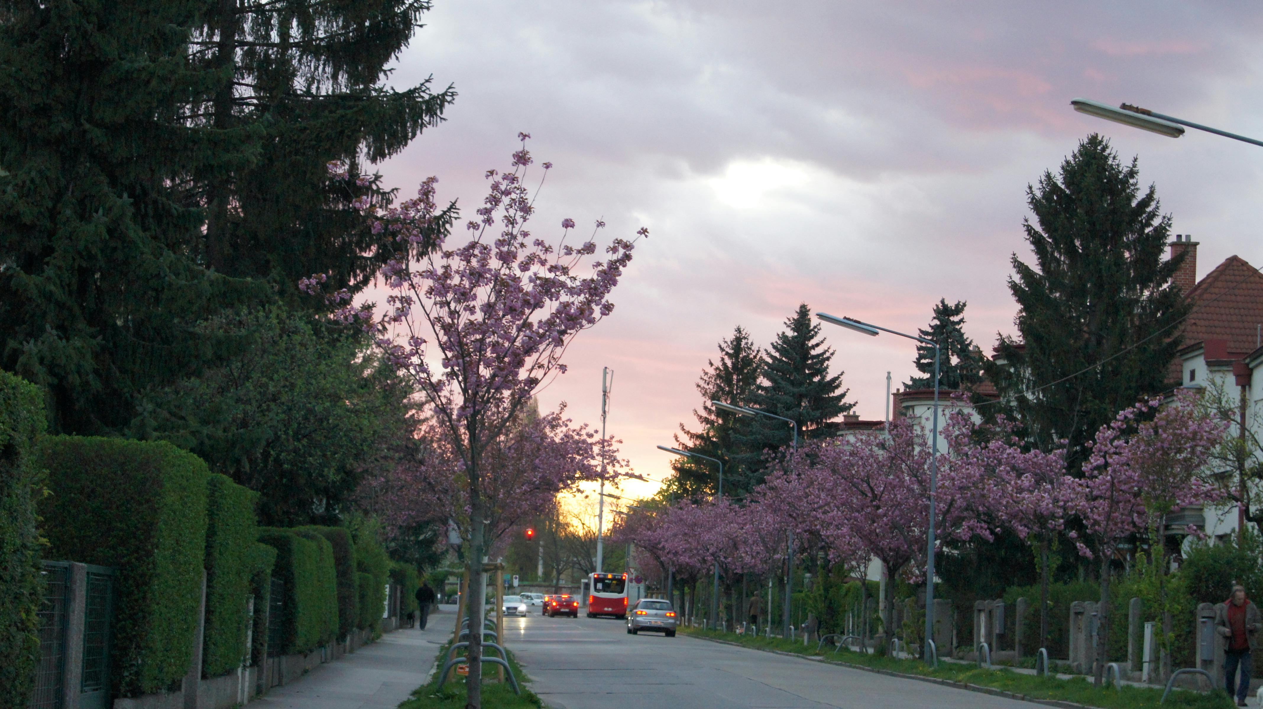 colorful healthy salad with vegetables