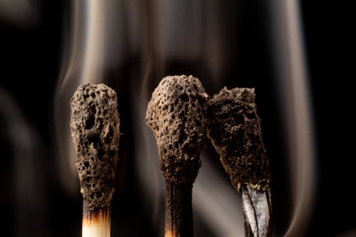 Close Up Photo of Burnt Matches