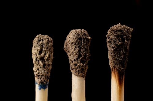 Free stock photo of burnt, fire, matchstick