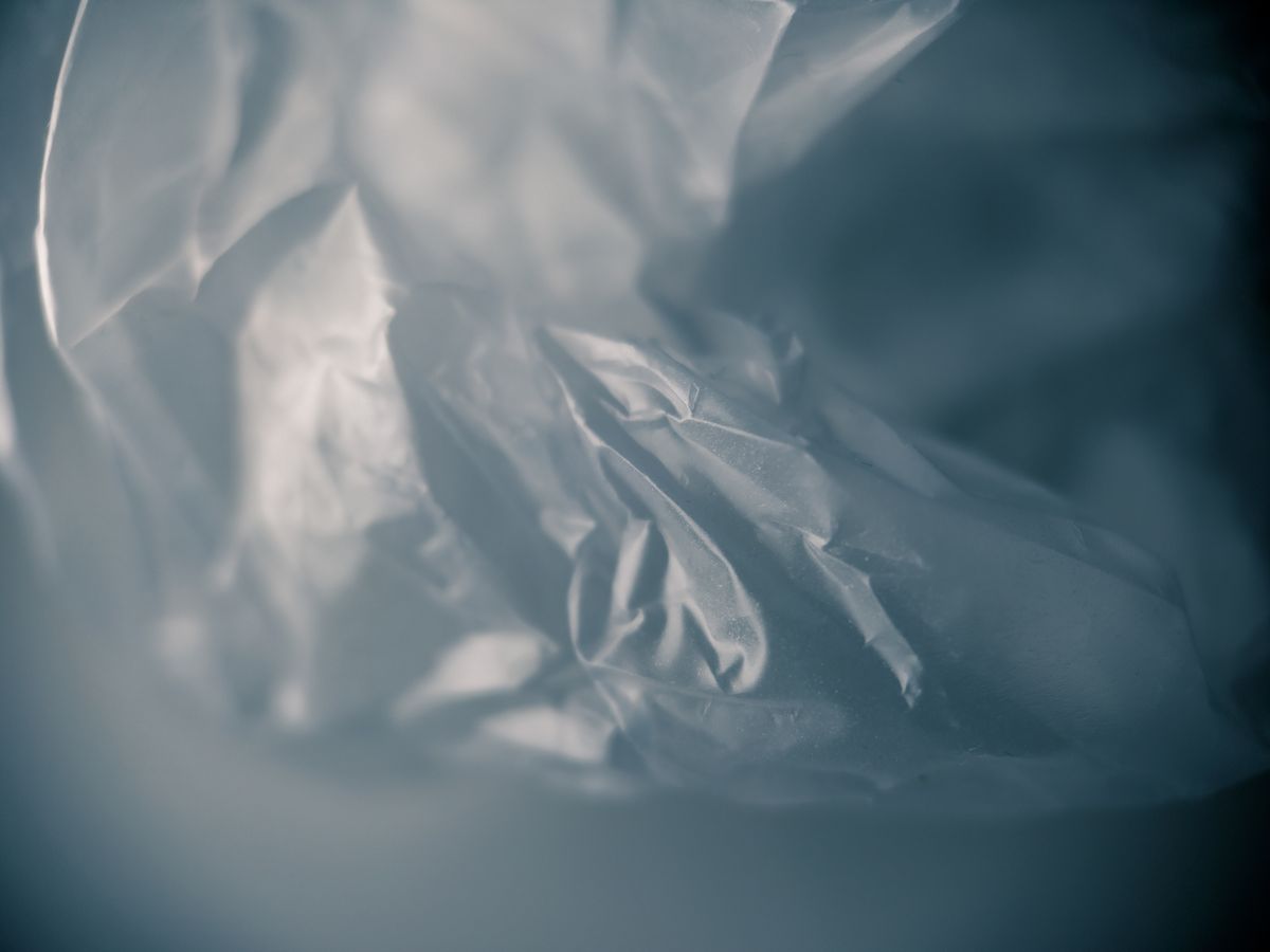packing service in Selborne — Loaded properly: blankets, straps and a plan in Selborne