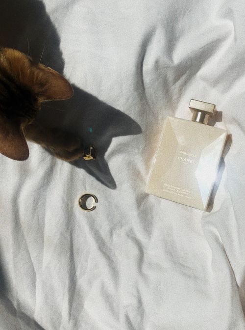 Free Chic composition featuring perfume bottle, cat, and shadow on white linen for a stylish touch. Stock Photo