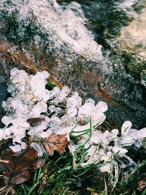 Fotobanka s bezplatnými fotkami na tému idyla, idylický, ľad