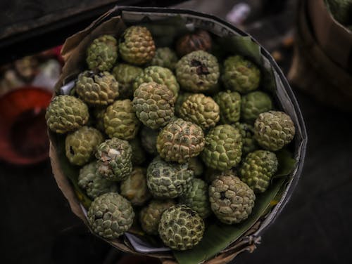 Green Round Fruits