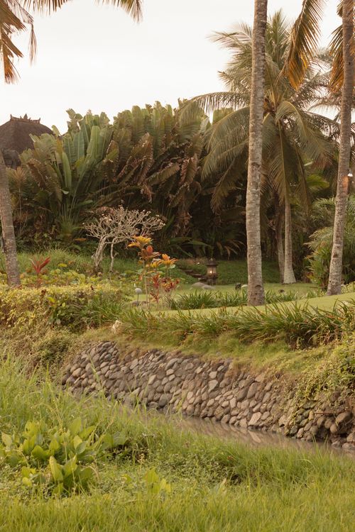 Free Lush tropical garden featuring palm trees and a stone-lined canal, perfect for serene landscapes. Stock Photo