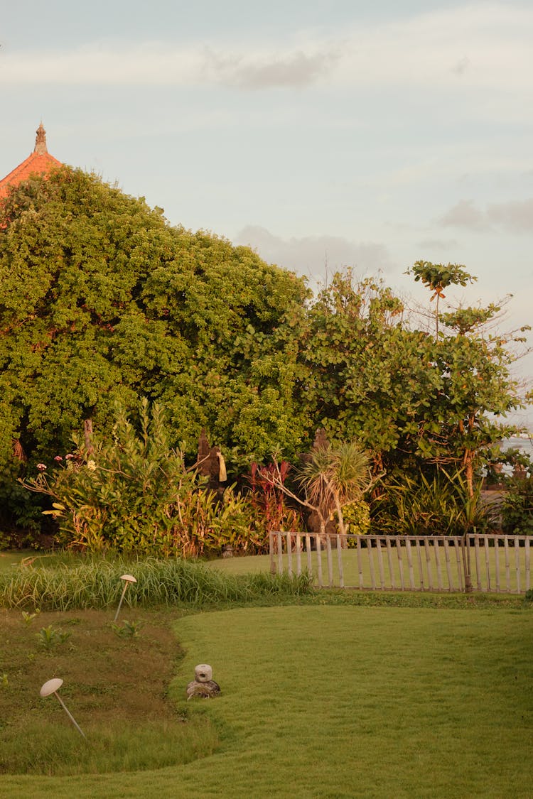 View Of Large Country Garden With Lawn And Ornamental Grass