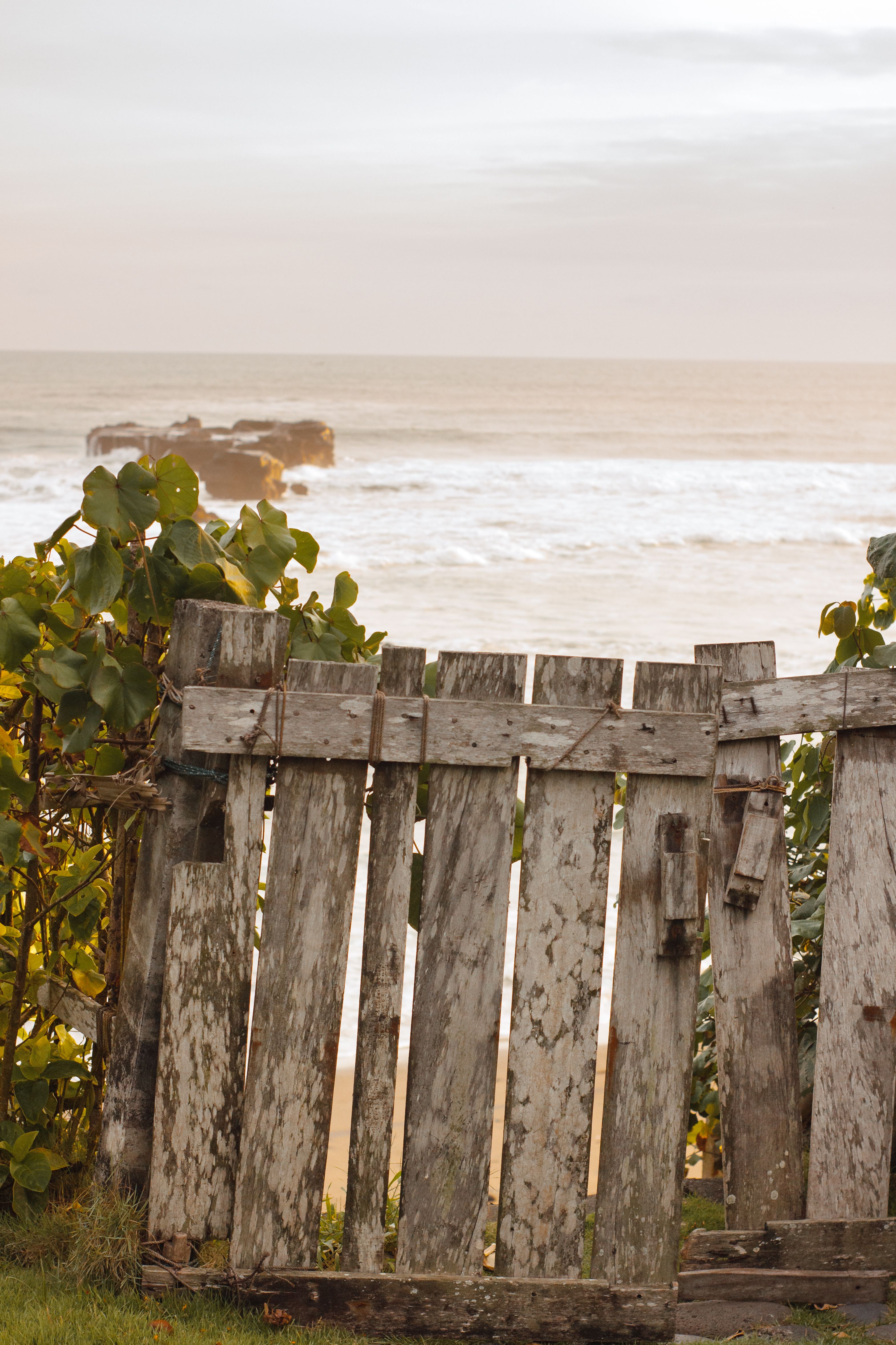 Wooden Gate Near the Beach · Free Stock Photo