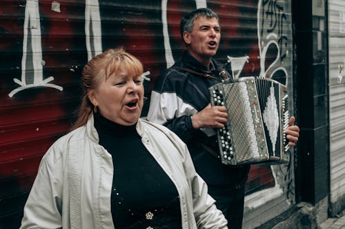 Základová fotografie zdarma na téma akordeon, Istanbul, krocan