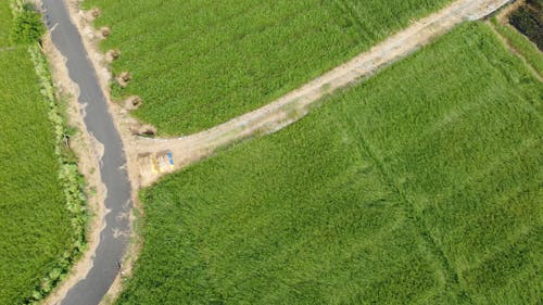 Бесплатное стоковое фото с Аэрофотосъемка, вид сверху, окружающая среда