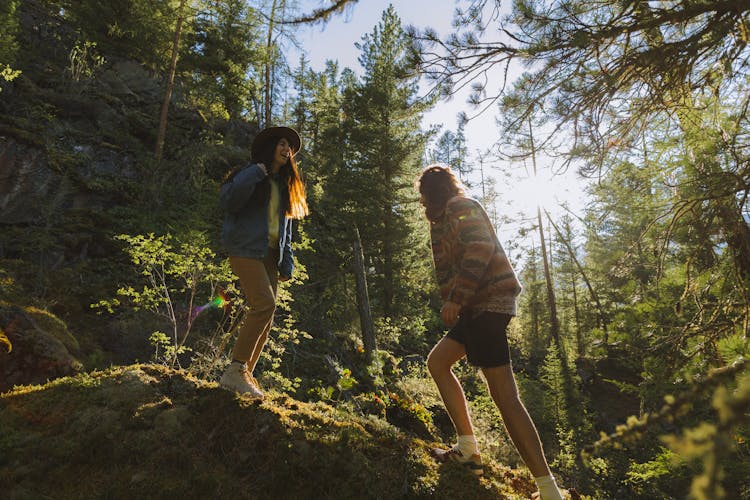 A Low Angle Shot Of A Couple Trekking In The Forest