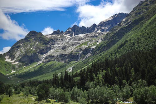 An Aerial Photography of Green Trees Near the Mountain