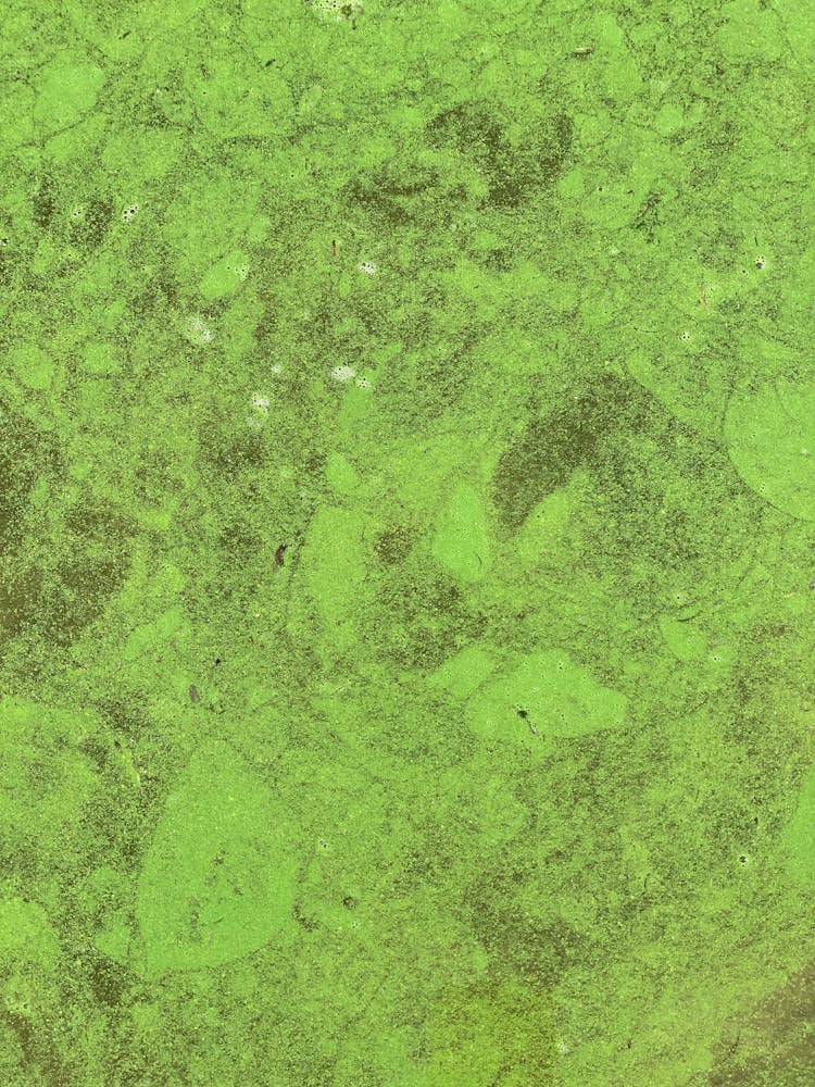 Green Abstract Background