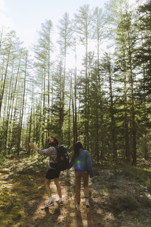 Free A couple enjoying a scenic hike through a lush, sunlit forest trail, embracing nature. Stock Photo