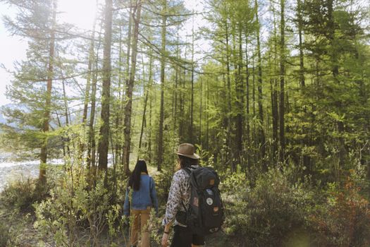 A couple hiking through a sunlit forest trail, embracing nature and adventure.