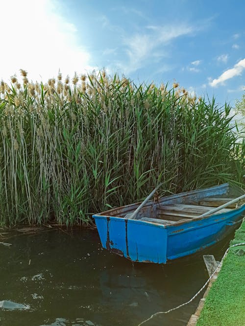 A Wooden Boat on the Lake Near the Green Grass