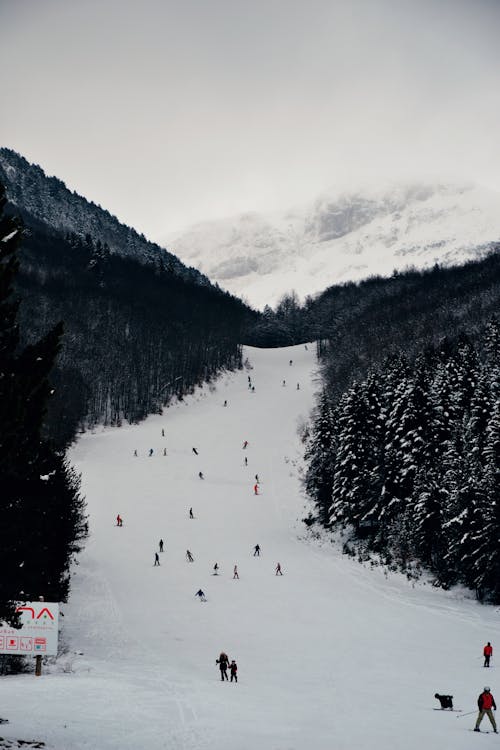 Free Snowboard and Ski Lanscape Stock Photo