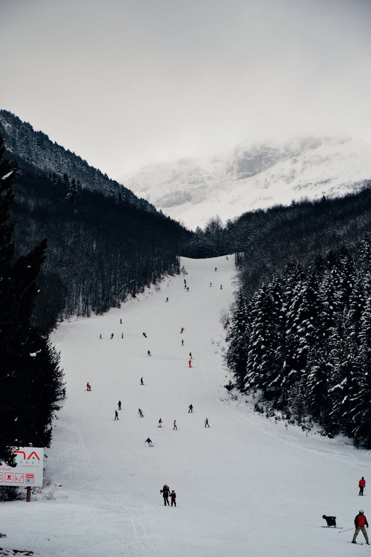 Snowboard And Ski Lanscape