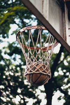 Rustic basketball hoop outdoors with net and ball, surrounded by trees.