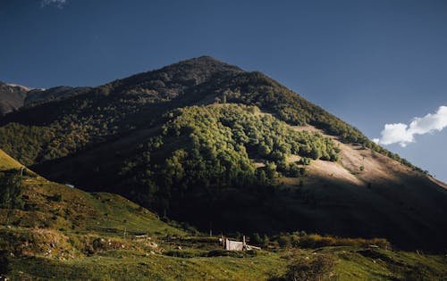 Ingyenes stockfotó domb, fák, hegyek témában Stockfotó