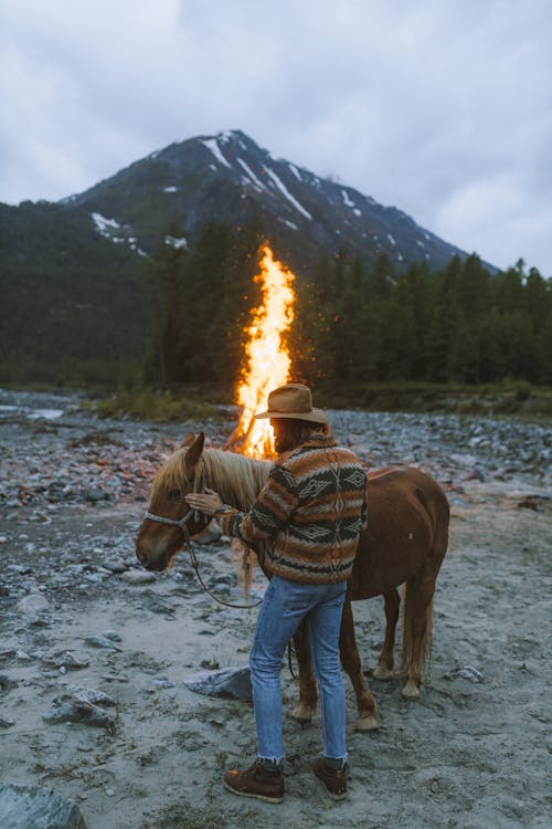 açık hava, adam, at içeren Ücretsiz stok fotoğraf