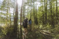 Man in Black Backpack Walking on Forest