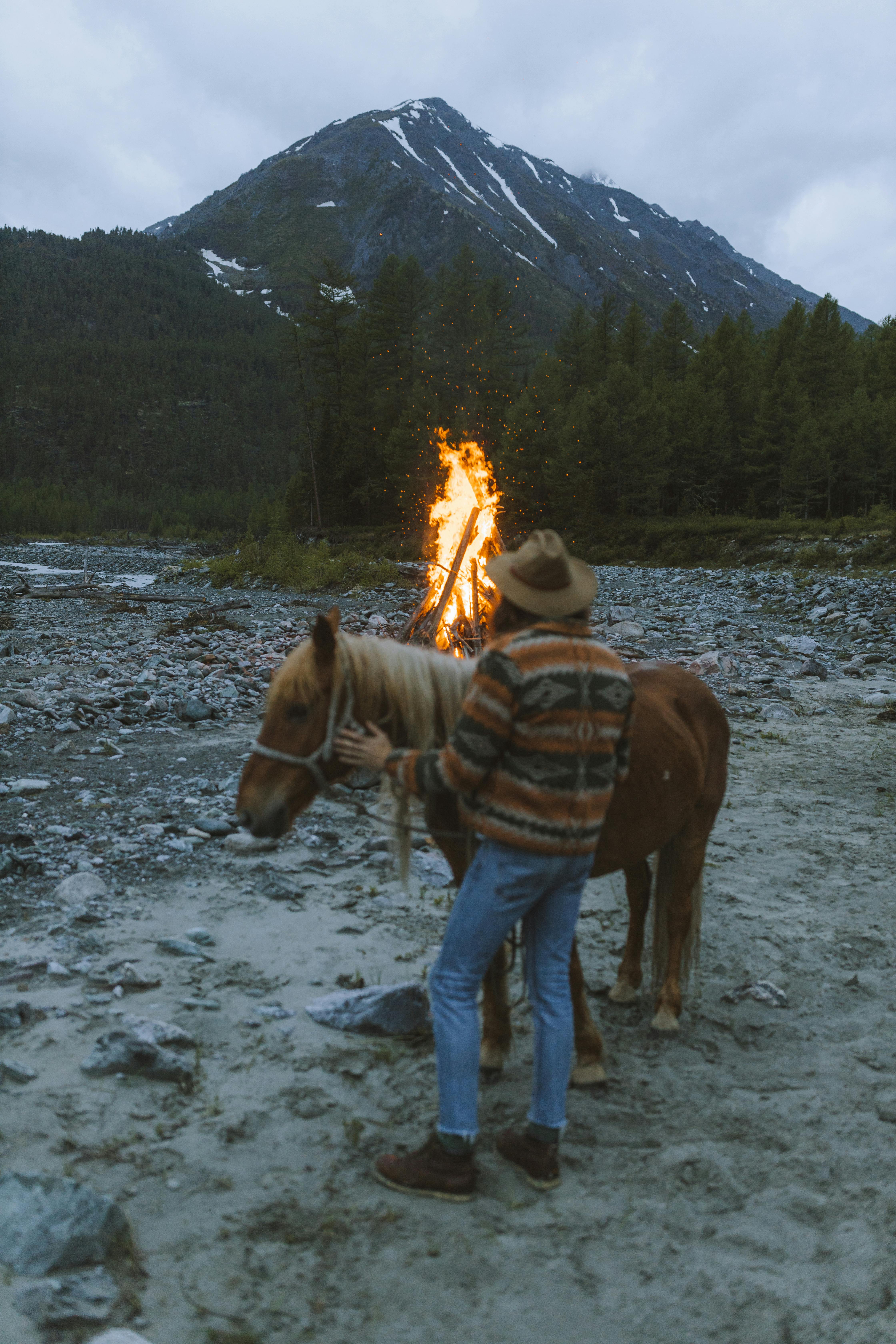 person in blue denim jeans standing beside brown horse