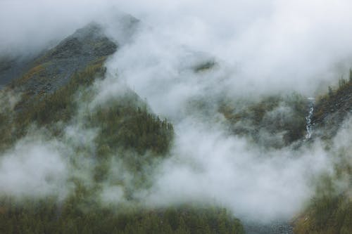A Green Trees on Mountain Under the White Clouds