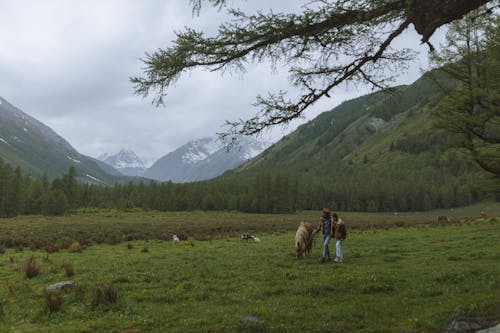 couple Walking with a Horse Near the Mountains