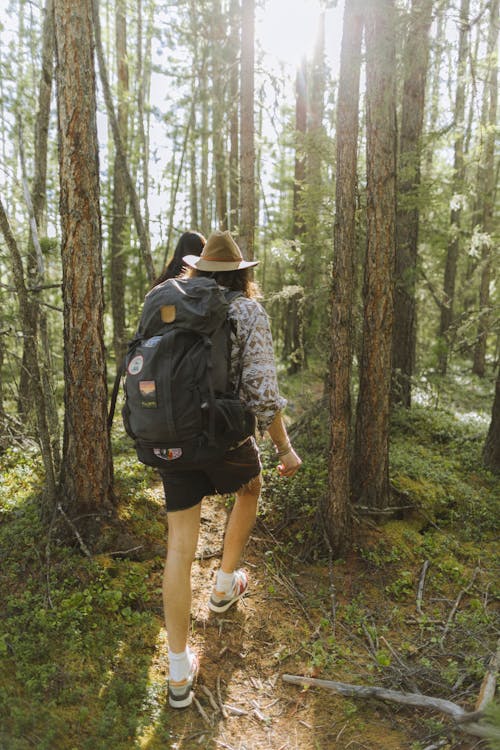 Free Person in Black Backpack Walking on Forest Stock Photo