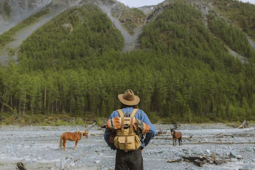 Free Man Carrying a Backpack Looking at the Mountain Stock Photo