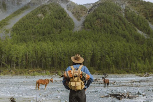 A hiker stands facing a lush mountain landscape with horses grazing nearby, portraying adventure and tranquility.