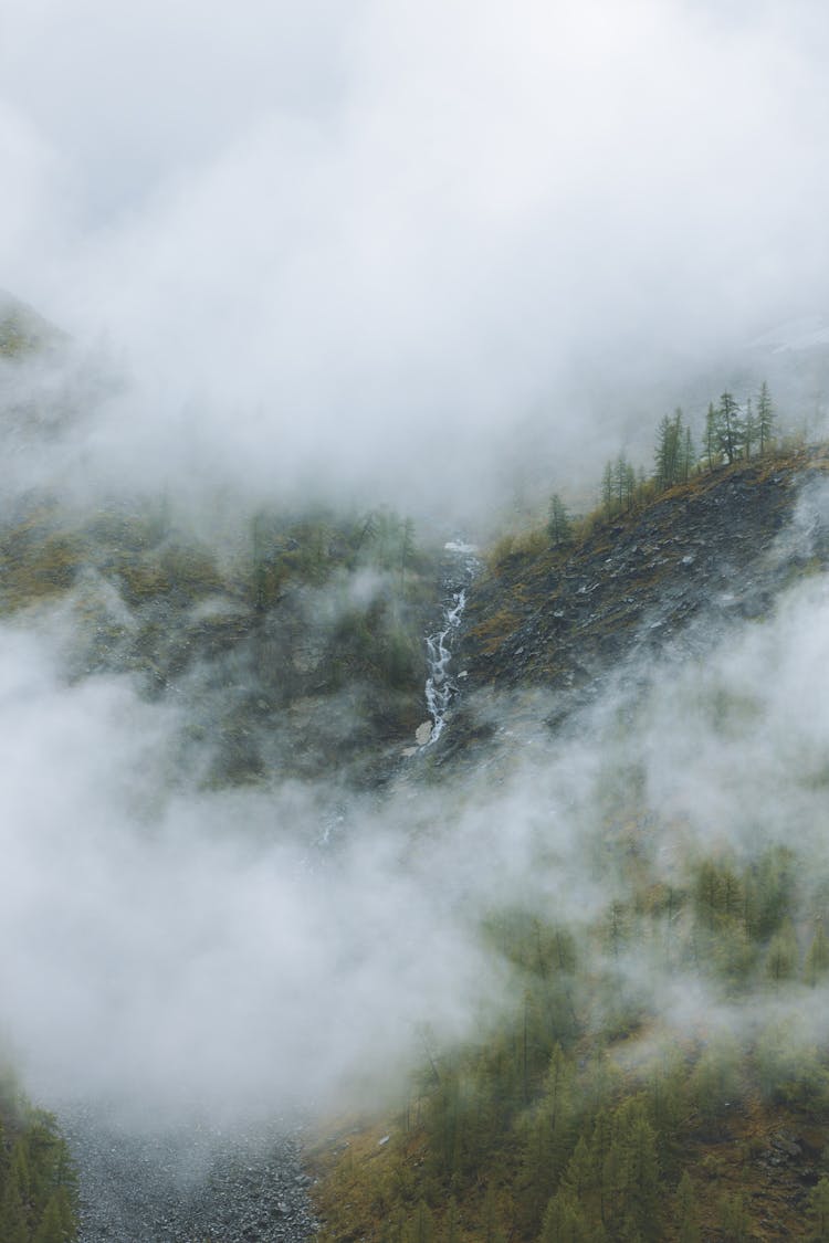 Thick Fog Covering The Mountain Forest