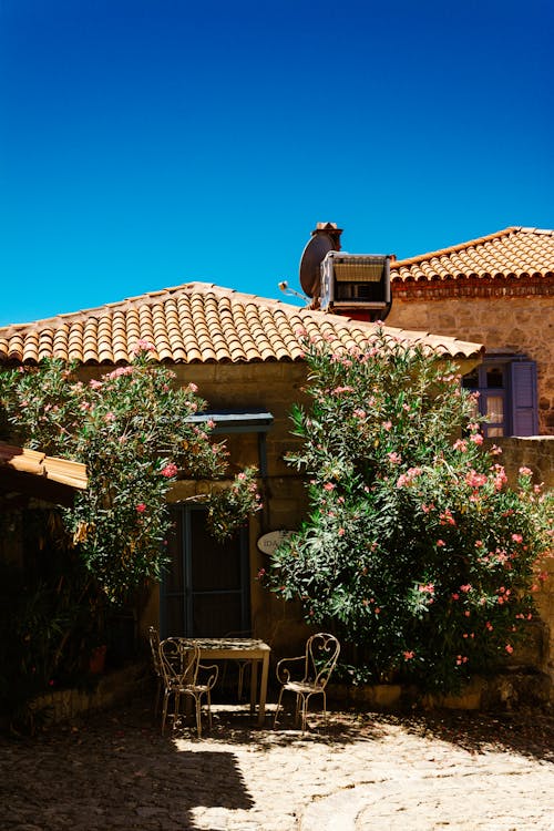 Gratis Foto stok gratis atap, di luar rumah, kebun Foto Stok