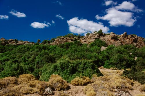 Free A scenic rocky hill with lush green vegetation under a blue sky with clouds on a summer day. Stock Photo