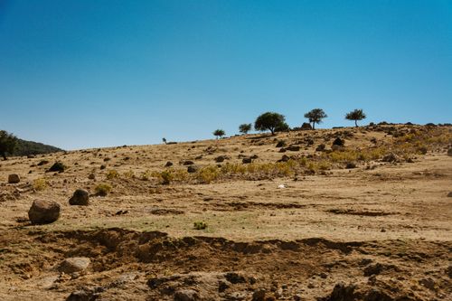 Free A serene desert landscape with scattered trees and rocks under a bright blue sky, capturing the essence of summer. Stock Photo