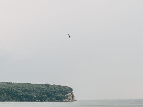 deniz, doğa, gökyüzü içeren Ücretsiz stok fotoğraf