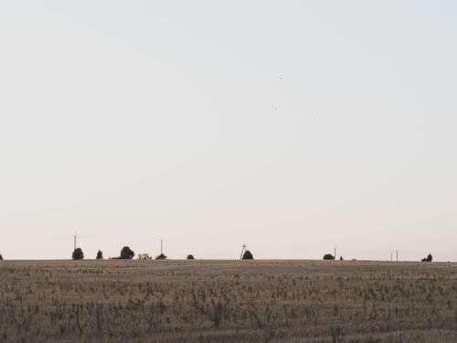 Free Wide grassy farmland landscape with sparse trees and open sky, evoking tranquility. Stock Photo