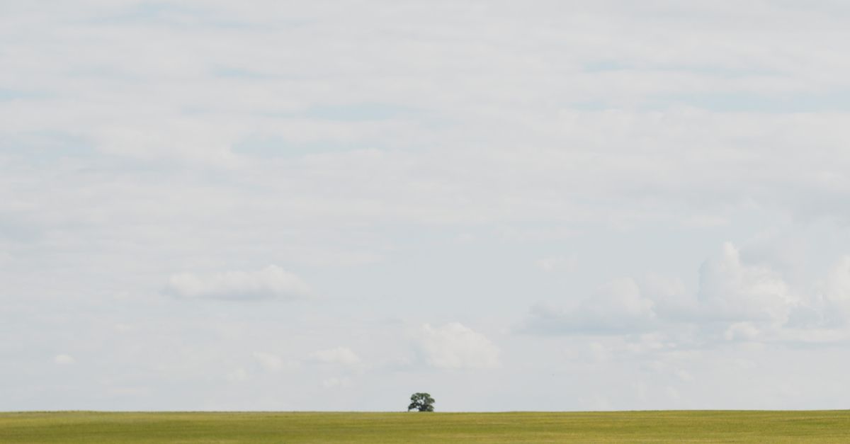 Horizon Line With Tree Example Tree on the Horizon Line · Free Stock Photo