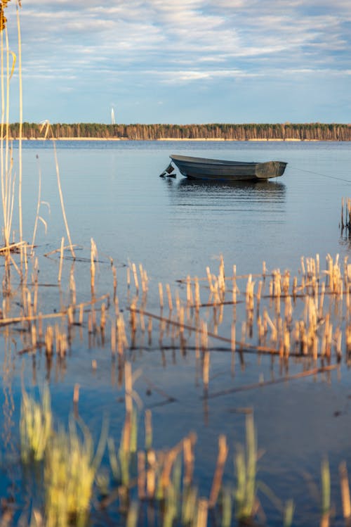 Základová fotografie zdarma na téma člun, dřevěný, jezero